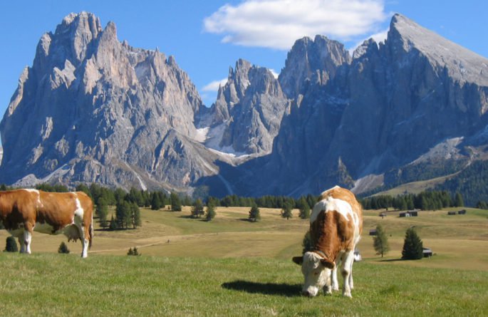 wanderurlaub-seiser-alm-1