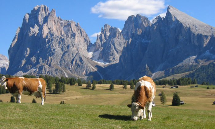 wanderurlaub-seiser-alm-1