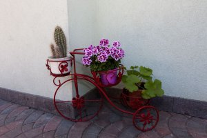 Haus Rabensteiner in Seis am Schlern 20