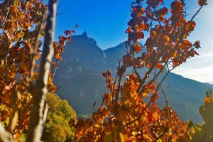 Ferienwohnung Herbst 12