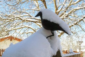 Skiurlaub Seis / Kastelruth 1